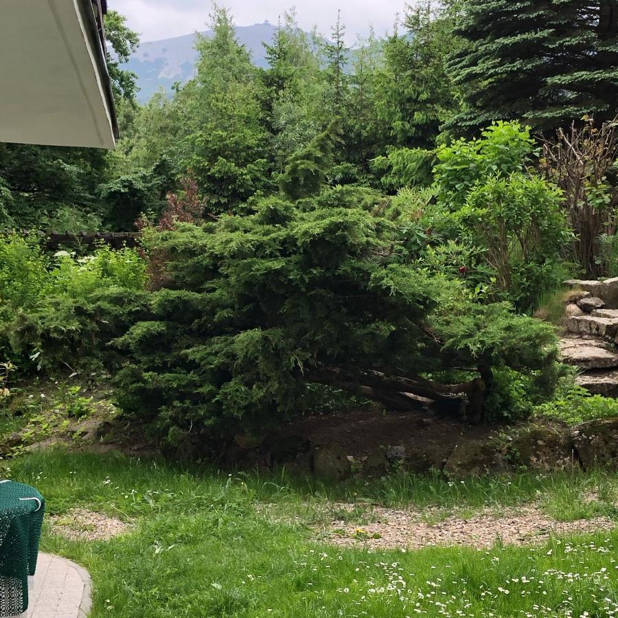 Azyl Karpacz - Kazdy Pokoj Z Wlasna Kuchnia I Lazienka Dış mekan fotoğraf