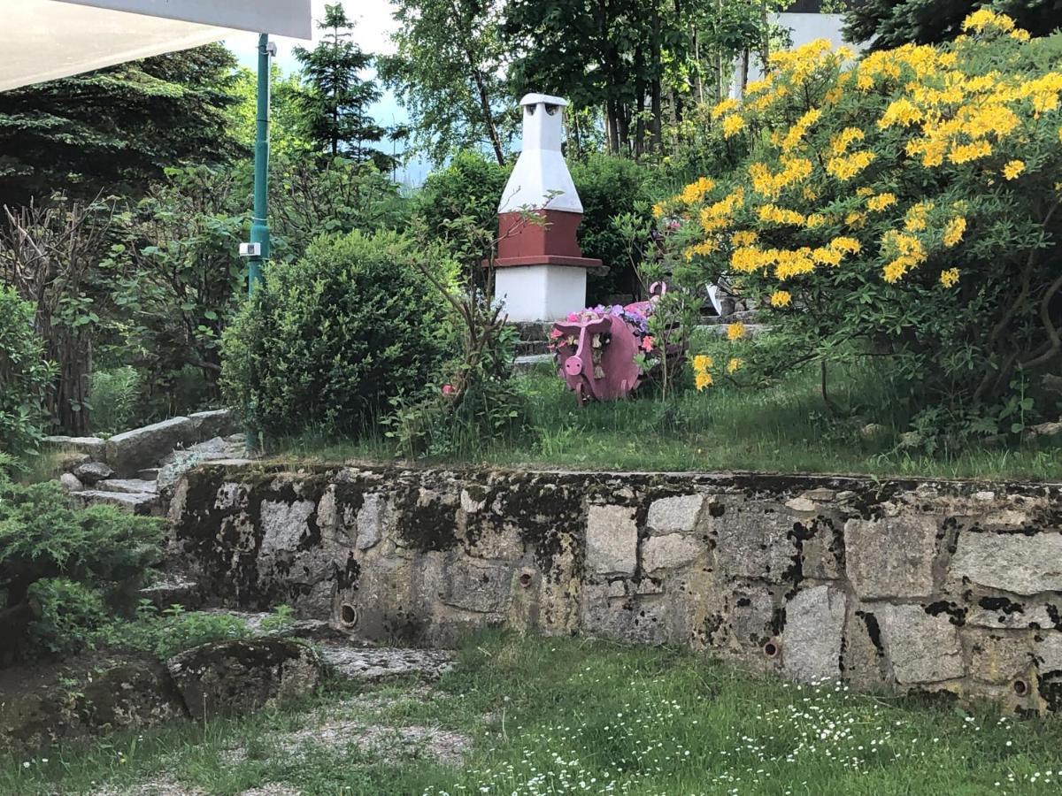 Azyl Karpacz - Kazdy Pokoj Z Wlasna Kuchnia I Lazienka Dış mekan fotoğraf