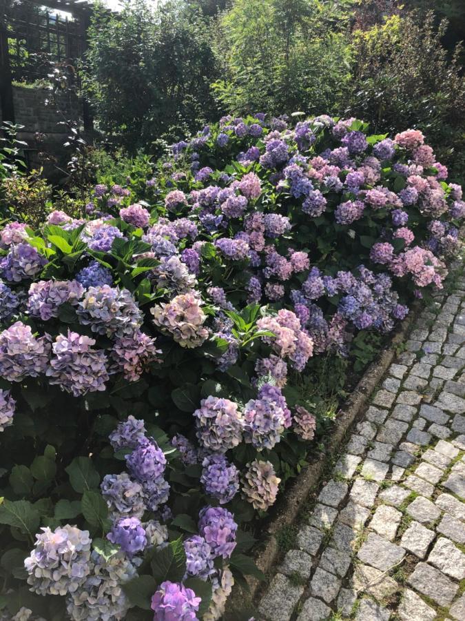 Azyl Karpacz - Kazdy Pokoj Z Wlasna Kuchnia I Lazienka Dış mekan fotoğraf